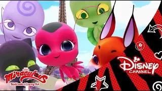 Miraculowy przewodnik po Kwami | Miraculous: Biedronka i Czarny Kot | Oglądaj w Disney Channel!