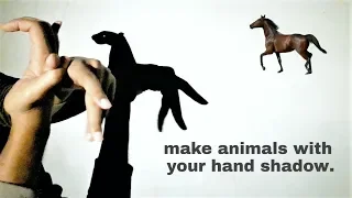 Incredible Hand Shadow Performance || how to make horse, rabbit, duck || part 4.