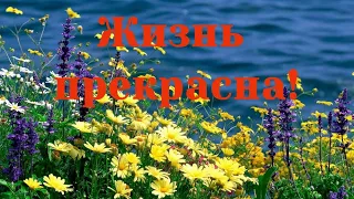 Жизнь прекрасна!  Аффирмации