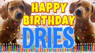 Happy Birthday Dries! ( Funny Talking Dogs ) What Is Free On My Birthday