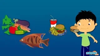 Where does Food come from? Facts and Fiction - Science for Kids | Educational Videos by Mocomi