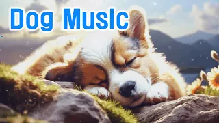 Relaxing Dog Music 🐶 Soothing Melodies to Calm Your Dog | Gentle Piano 💖 Calming Dog Music