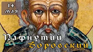 14 мая Житие Пафнутия Боровского (1477)