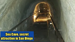 Sea Cave, Hidden attraction in San Diego, California
