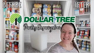 DOLLAR TREE PANTRY ORGANIZATION | SODA CAN ORGANIZERS | BUDGET ORGANIZATION | FEBRUARY 2021!