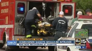 Homeowner shoots would-be intruder