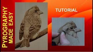 Wood Burning - Purple Finch Bird - pyrography tutorial