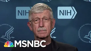 NIH Director Francis Collins Is 'Thrilled' To Receive And Provide Covid Vaccine To Americans | MSNBC