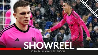 JOÃO PALHINHA SHOWREEL V BRIGHTON 🎬 | Most Tackles In Prem Game 23/24 & Super Strike!