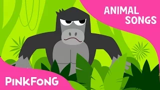 Jungle Boogie | Animal Songs | PINKFONG Songs for Children