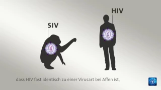 AIDS: Woher stammt HIV?