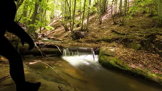 Boggy Bottom Bigfoot of Oklahoma in Atoka County