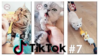 IRMOKIN Tiktok short videos about animals Compilation #7