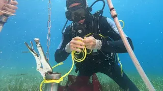 Taking sediment core in seagrass meadow