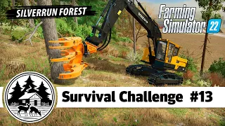 DOING FORESTRY WITH THE WOODCRACKER! - Platinum Edition - Farming Simulator 22 -  Survival Challenge
