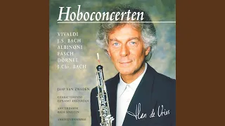 Concerto in B-Flat Minor, Op. VIII No. 3: I. Allegro