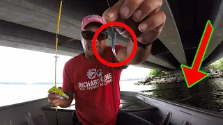 How I Caught These Fish (SLABS!!!) Summer Crappie Fishing Secrets