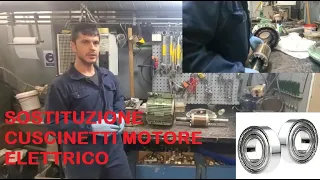 EXTRA!! SOSTITUZIONE CUSCINETTI MOTORE ELETTRICO TRIFASE ASINCRONO CON LAVAGGIO STATORE.