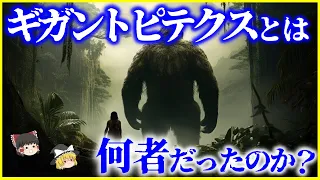 【ゆっくり解説】史上最大の霊長類「ギガントピテクス」とは何者だったのか？を解説/意外な場所で発見された化石！リアル進撃の巨人…霊長類は巨大化するか？