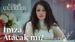 Songül, nikah masasında... 👰 - Kırgın Çiçekler 73. Bölüm