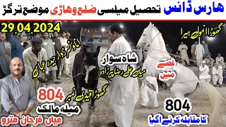 Horse Dance Show| Ghora Nach | Ghora Anmol VS Qaidi 804|  Shah Sawar Mian Ali Raza Pirzada