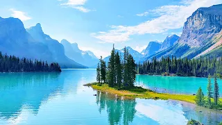 Soothing Stress Relief Music With Beautiful Nature 🍀 Stop Anxiety, Depression & Bad Vibes