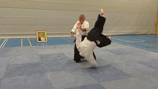 Aikido - 7. DAN in Action Kaiten Nage Uchi (Irimi) und Soto (Tenkan) gegen Katate Tori (Gyaku-hanmi)