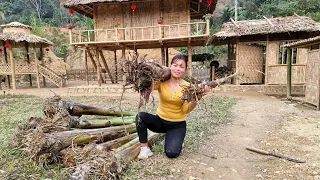 The Girl Who Planted A Lot Of Bananas Around The Farm, Pet Care (Ep29) | Trieu Mai Huong