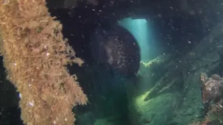 Diving the USS Massachusetts