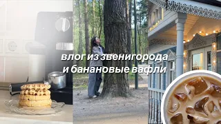 влог | кофе из звенигорода