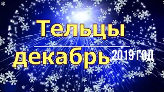 Телец декабрь 2019 год