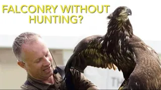 Can you become a falconer but not hunt?