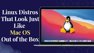 Top 10 Best Linux Distros that Looks Like MacOS Out of the Box!