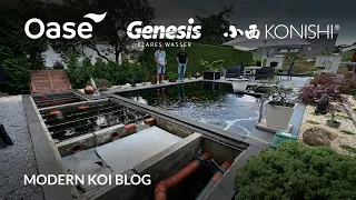 Modern Koi Blog #5439 - Christians Wasser mit leicht erhöhtem Nitritwert