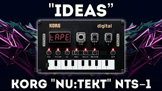 Korg NTS-1 "Ideas” Soundset (V2) 200 Presets!
