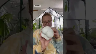 Plant Pot Unboxing🍑JOFAMY Body Shaped Planter✨