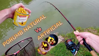 Pescuit la feeder in Balta din Gradină cu Porumb NATURAL vs ARTIFICIAL - Pești frumoși 🎣