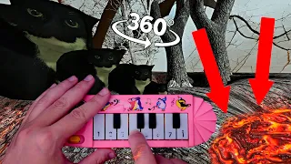 Big & Small 360° VR Maxwell The Cat go to the lava / 1$ yellow piano