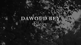 Dawoud Bey: Elegy | Exhibition Trailer