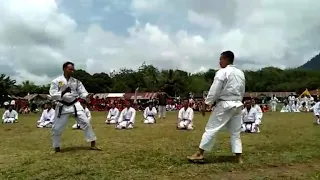 Ngeri!!! Institut Karate-Do Indonesia || Atraksi HUT TNI ke 74