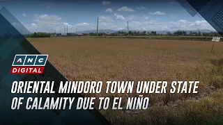 Oriental Mindoro town under state of calamity due to El Niño | ANC