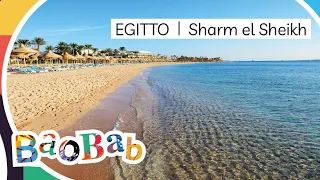 Baobab - Sharm el-Sheikh - Royal Albatros Moderna Beach Resort & Spa
