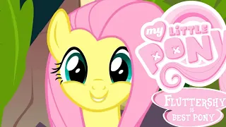 My Little Pony - Fluttershy - Colour with Me