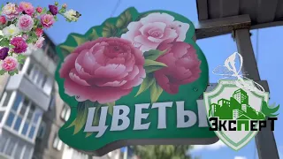 К продаже нежилое помещение (действующий арендный бизнес), Ленинск-Кузнецкий, Центр, район ЗАГСа