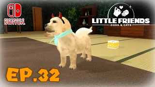 LITTLE FRIENDS: Dogs & Cats - Star VS Le Forze della Calibrazione | EP.32 [ITA]