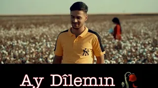 Murat Dağ X Servet Tunç AY DILEMIN [ OFFİCİAL VİDEO ] (KURDİSH TRAP)