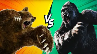 GRIZZLY BEAR VS GORILLA : Who would actually Win?