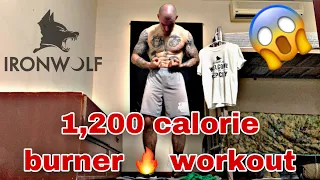 1,200 Calorie Burner Bodyweight 🔥 Live Workout (description below )