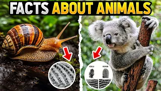 TOP 10 Amazing Animal Facts You Didn't Know