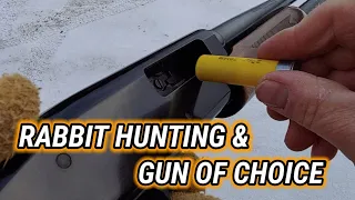 Rabbit hunting & Gun of choice